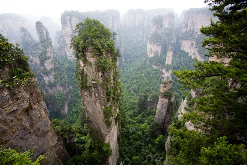 Hunan,Zhangjiajie National Forest Park,Zhangjiajie,Beauty in Nature,Mt Tianzi,Mount Tianzi,