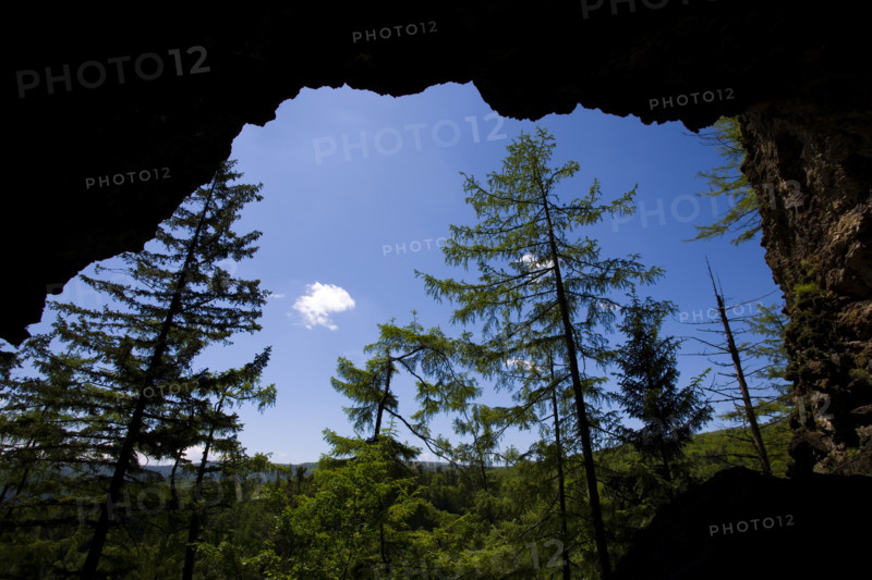 Heilongjiang,Jingbo Lake,Mirror Lake,Underground forest,