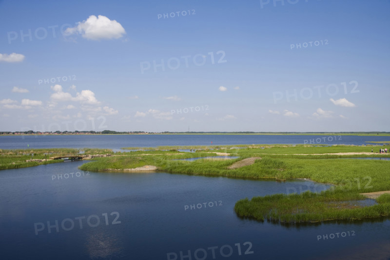 Heilongjiang,zhalong Natural Reserve,