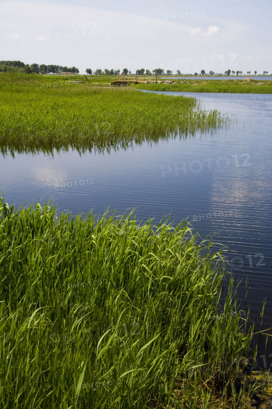 Heilongjiang,zhalong Natural Reserve,