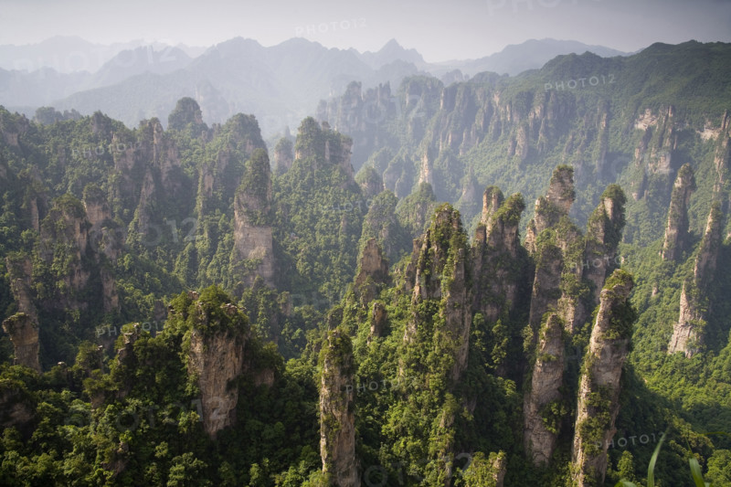 Hunan,Zhangjiajie National Forest Park,Zhangjiajie,Beauty in Nature,Mt Tianzi,Mount Tianzi,