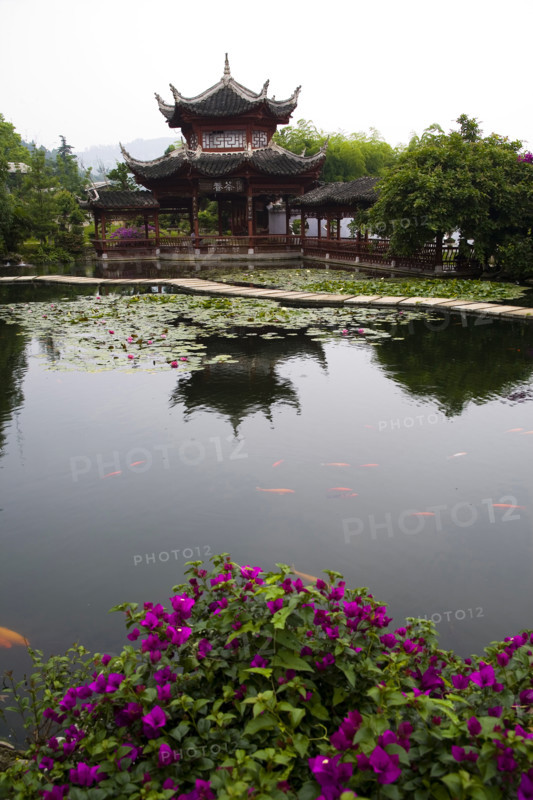 Guizhou,Huang guo shu Waterfall,Waterfall,Huangguoshu,Huang guo shu,Water,