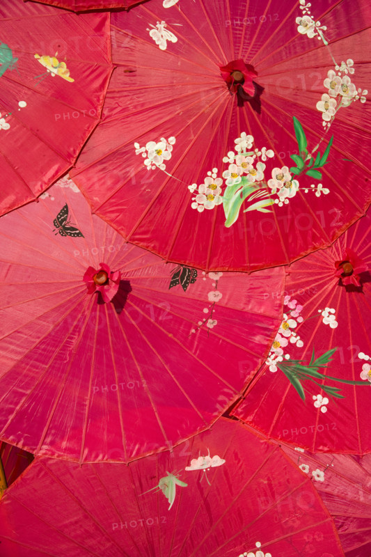 Yunnan,Yunnan Minzu Garden