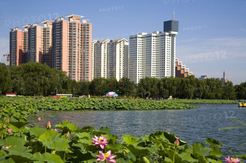 Lotus Pond Park,Beijing