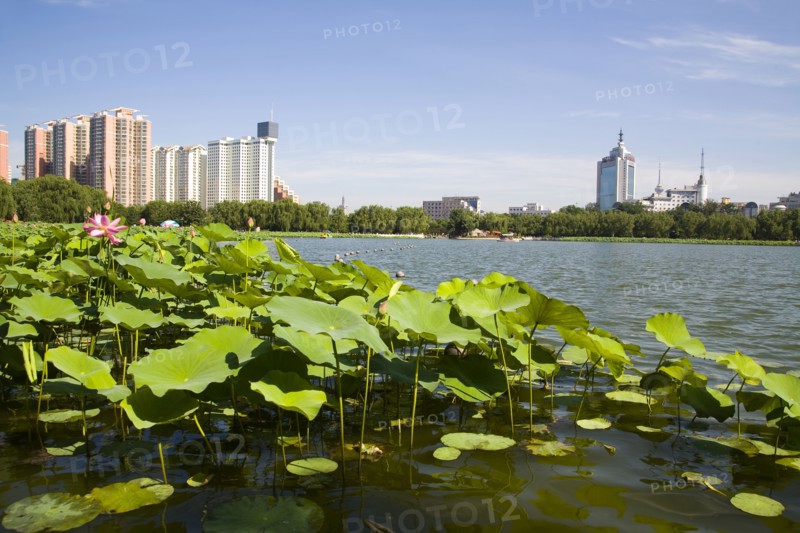 Lotus Pond Park,Beijing