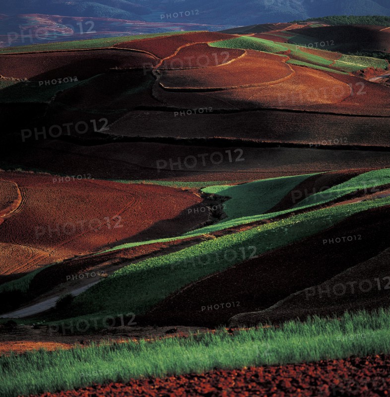 Yunnan