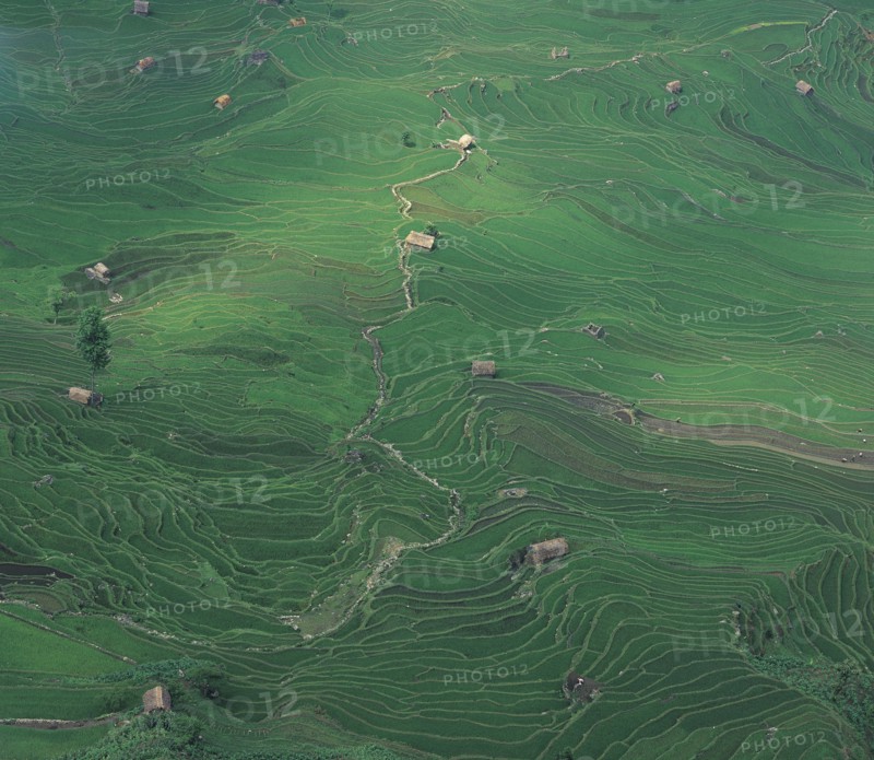 Yunnan,Yuanyang,