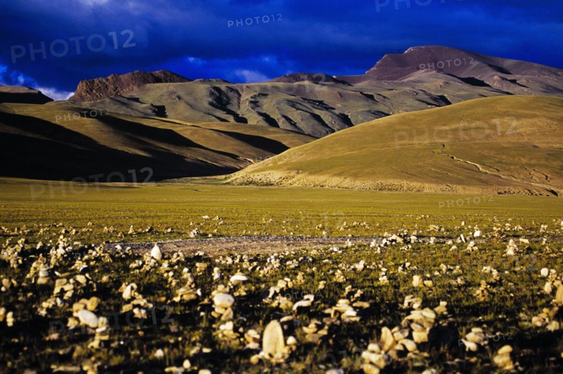 Tibet