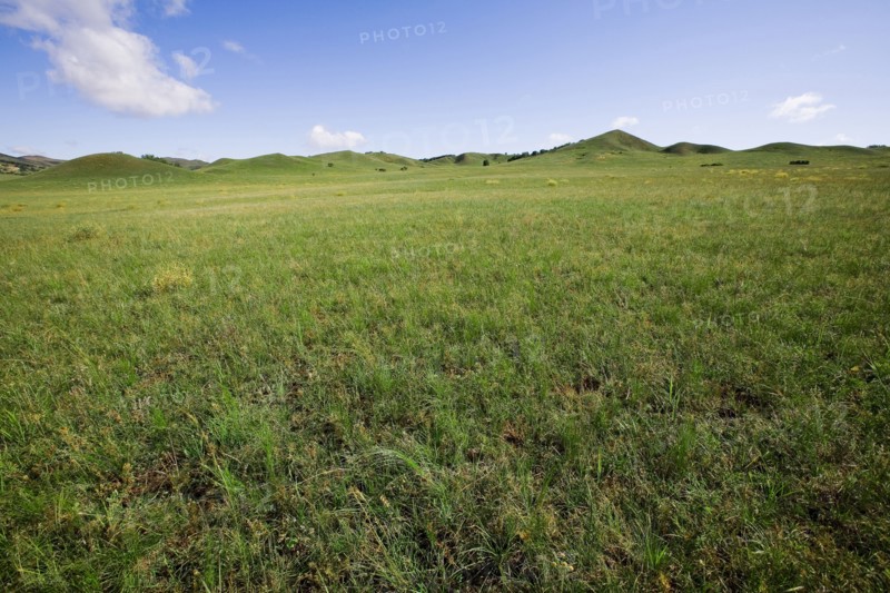 Bashang grassland in Inner Mongolia