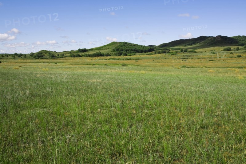Bashang grassland in Inner Mongolia