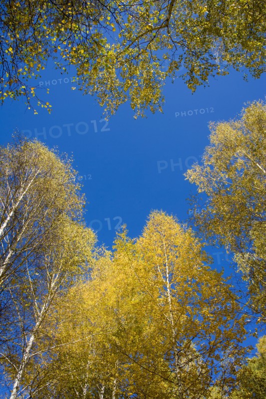 Xinjiang Province, Aletai,