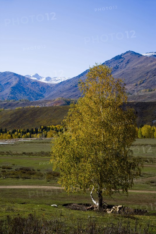 Xinjiang Province, Aletai,