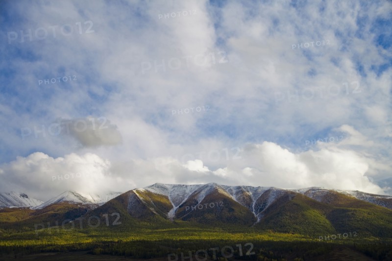 Altay Xinjiang, White Haba,