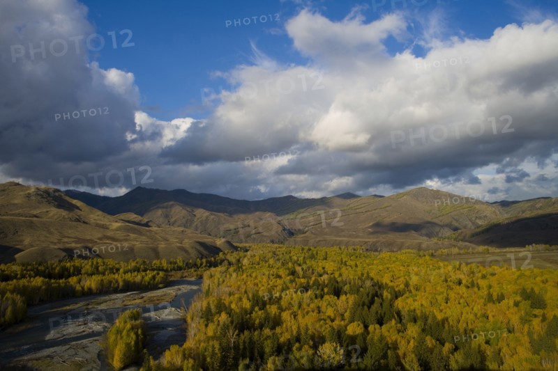 Altay Xinjiang, White Haba,