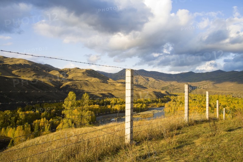 Altay Xinjiang, White Haba,