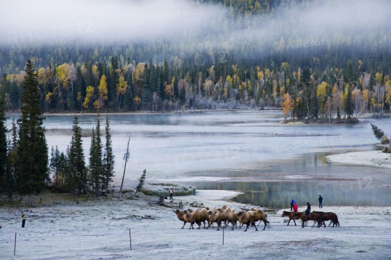 Altay Xinjiang, Kanas,