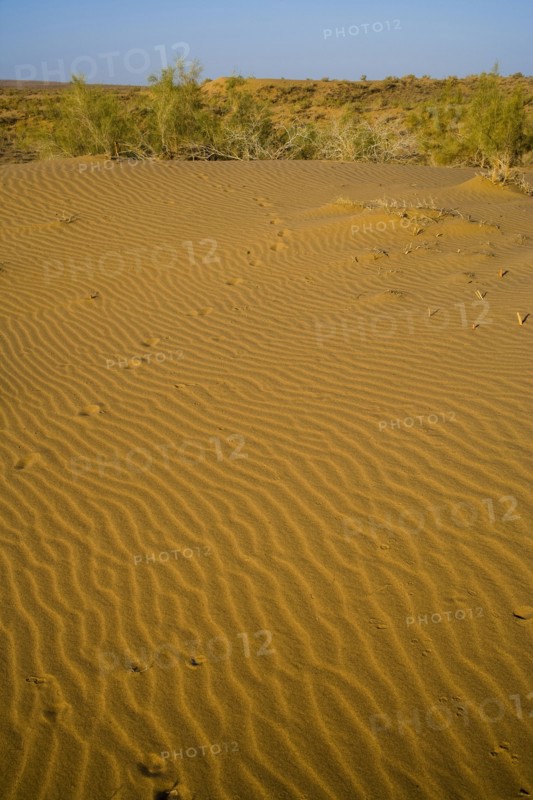 Xinjiang Province, Aletai,