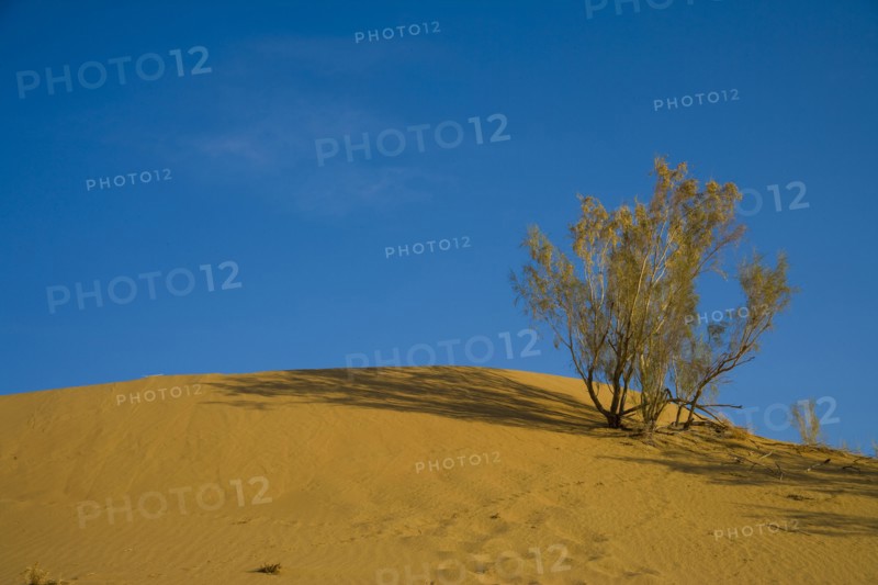 Xinjiang Province, Aletai,