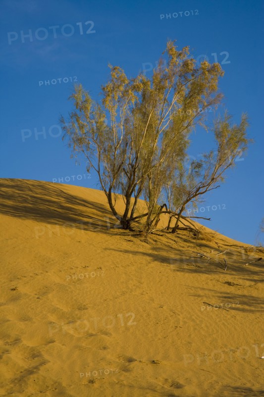 Xinjiang Province, Aletai,