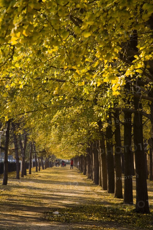 Beijing