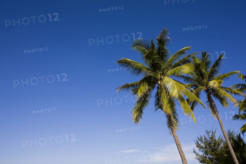 Sanya,Hainan