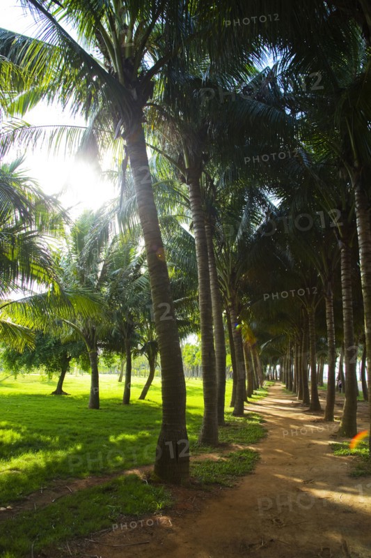 Haikou, Wanlv Garden