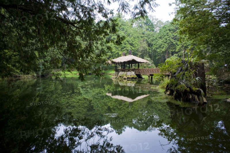 Taiwan, Ali, Botanical Garden,