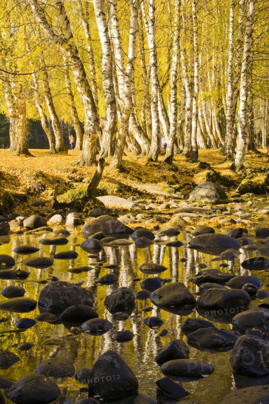 Xinjiang Province, Aletai,
