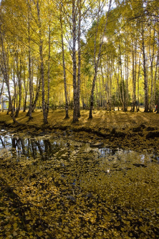 Xinjiang Province, Aletai,