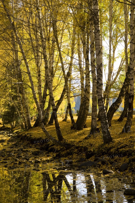 Xinjiang Province, Aletai,