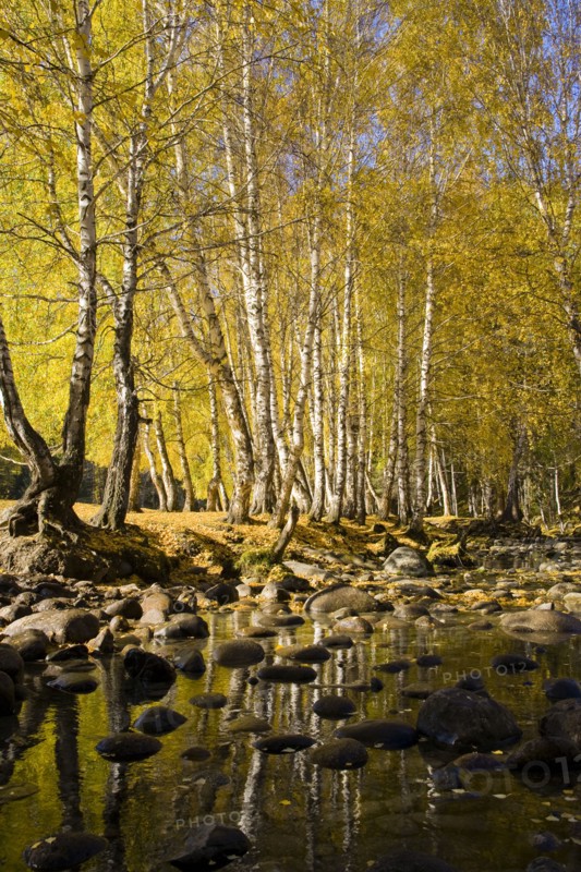 Xinjiang Province, Aletai,