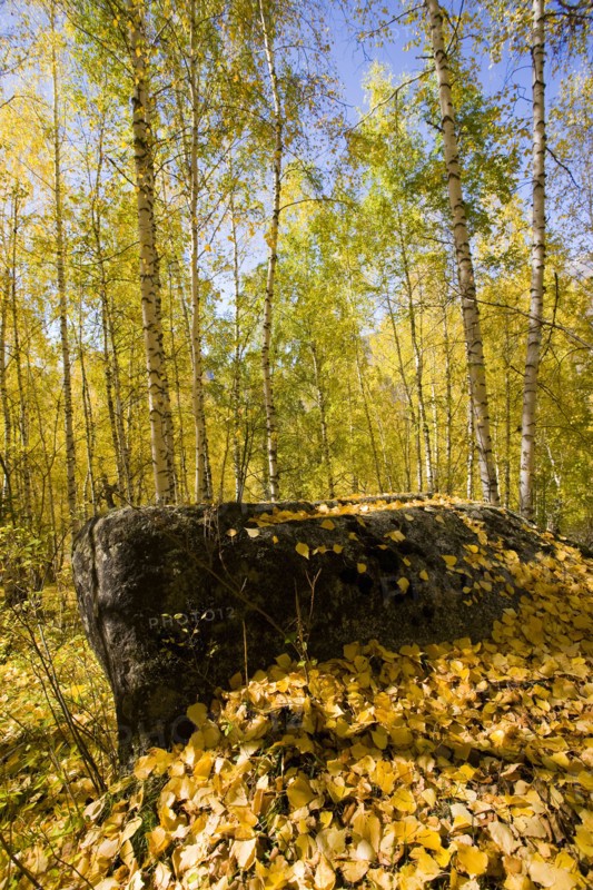 Xinjiang Province, Aletai,