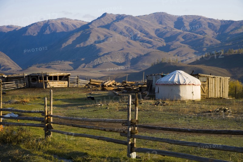 Altay Xinjiang, White Haba,