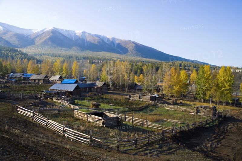 Altay Xinjiang, White Haba,