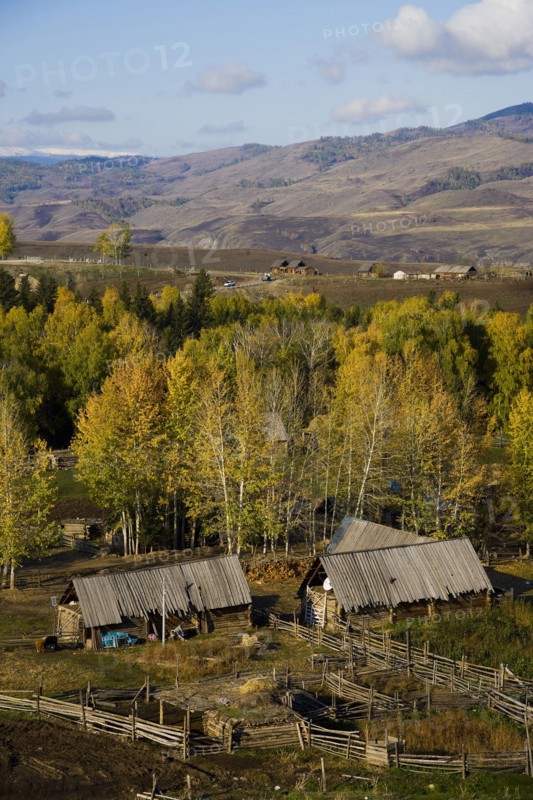 Altay Xinjiang, White Haba,