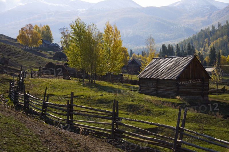 Altay Xinjiang, White Haba,