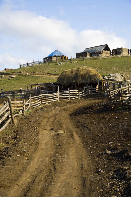 Altay Xinjiang, White Haba,