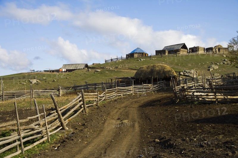 Altay Xinjiang, White Haba,