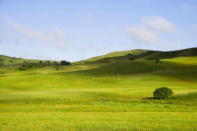Bashang grassland in Inner Mongolia