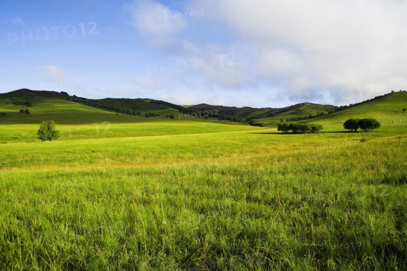 Bashang grassland in Inner Mongolia