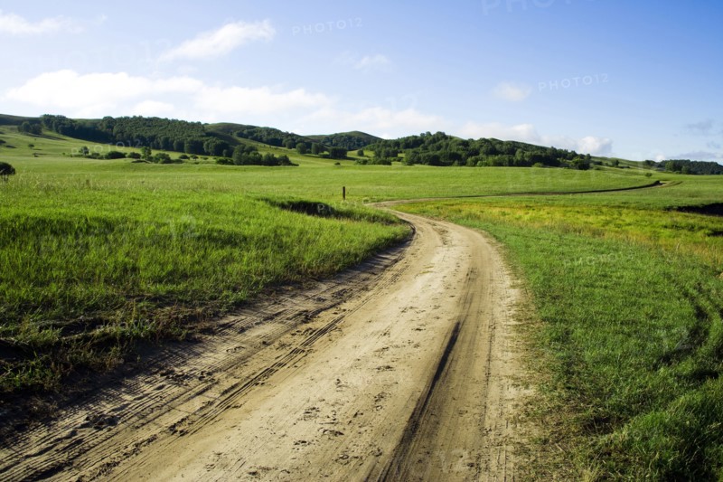 Bashang grassland in Inner Mongolia