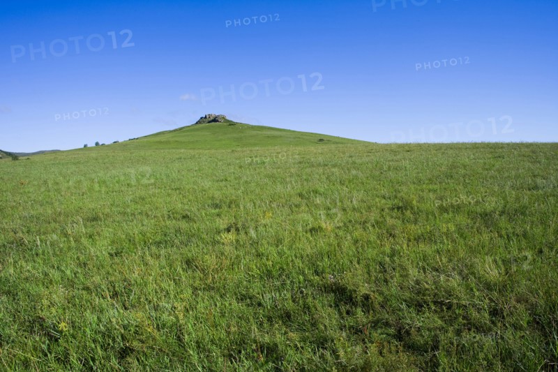 Bashang grassland in Inner Mongolia