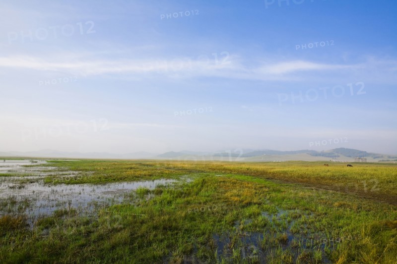Bashang grassland in Inner Mongolia