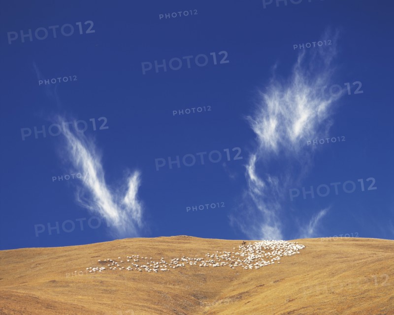 Tibet, The Qinghai-Tibet Plateau