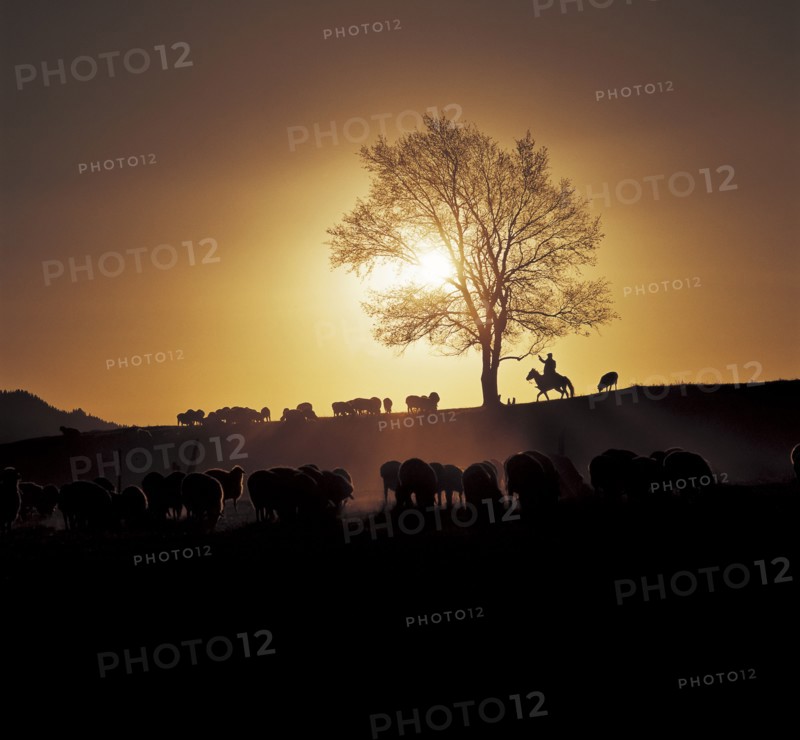 Xinjiang