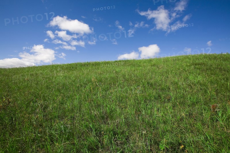 Bashang grassland in Inner Mongolia