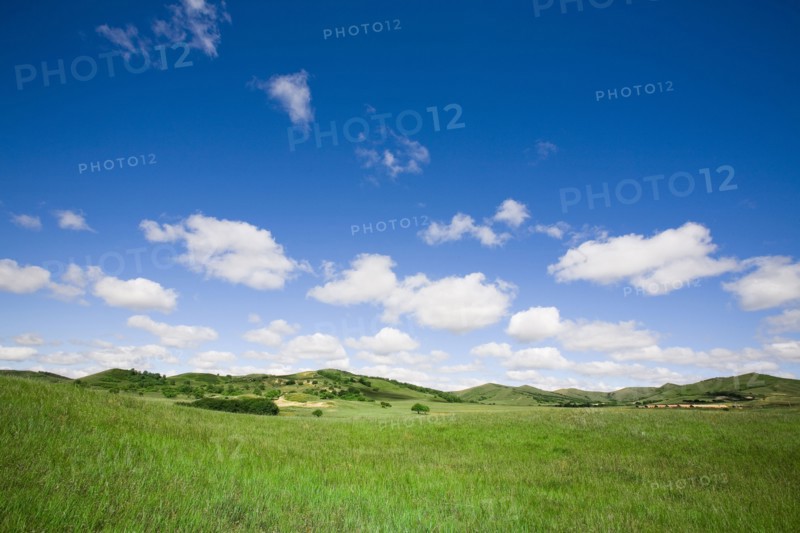 Bashang grassland in Inner Mongolia