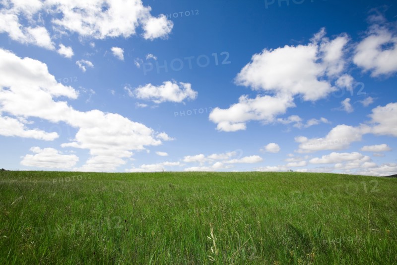 Bashang grassland in Inner Mongolia