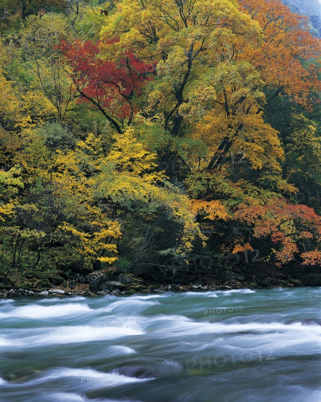 Sichuan Province,