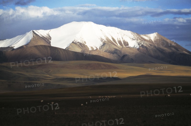 Tibet
